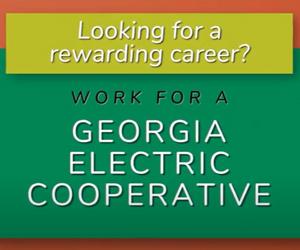 Great jobs await at Georgia's EMCs