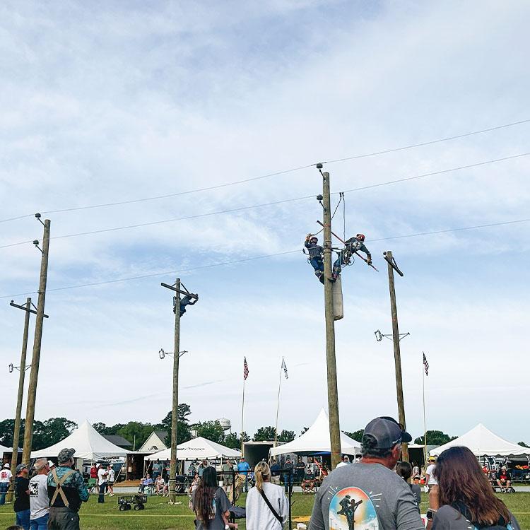 linemen up poles