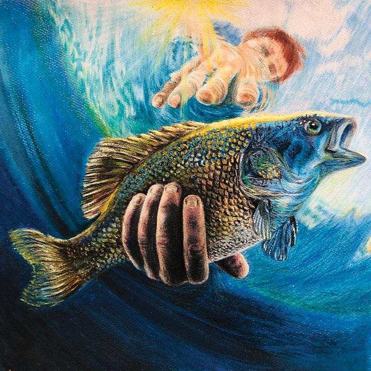 drawing of bass