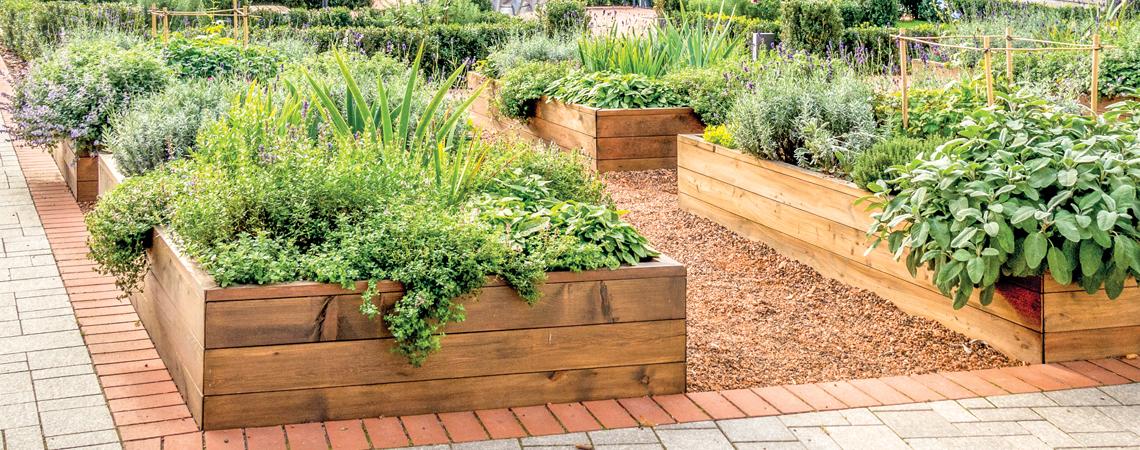 Raised garden boxes allow easy access to herb gardens