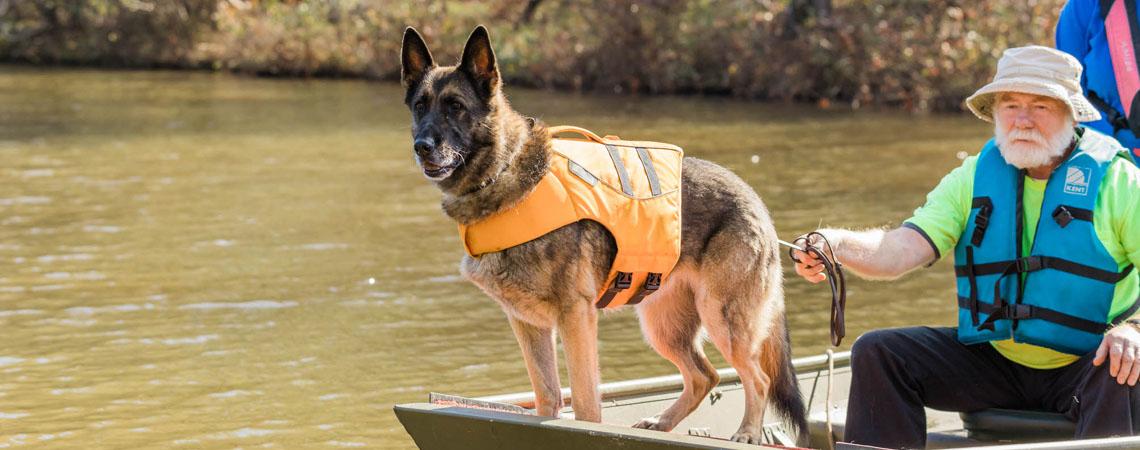 A Georgia-based search and rescue dog helps find missing person 