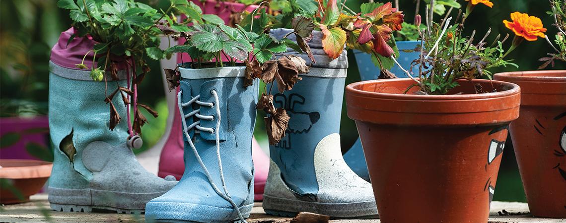Gardening boots make interesting planters for the garden