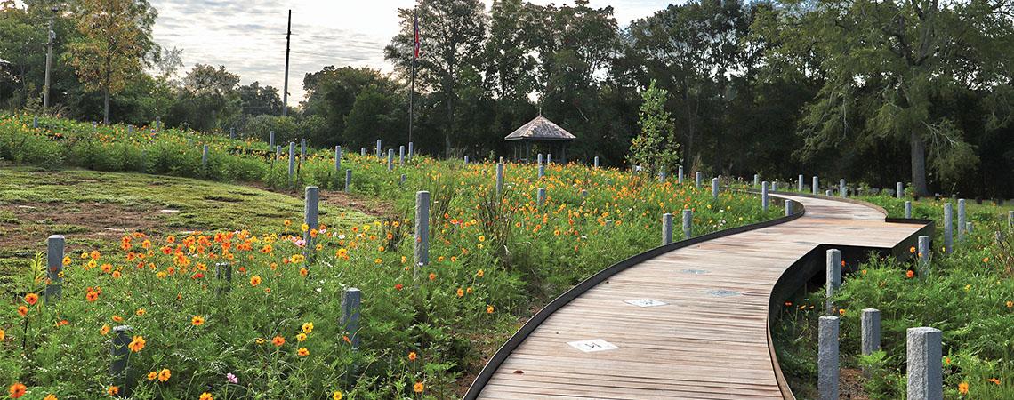 boardwalk through a cemetery