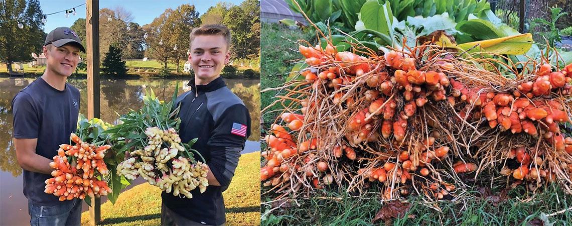 two boys holding turmeric and ginger budles