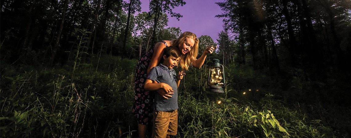 mother and son stand with a lantern, watching fireflies