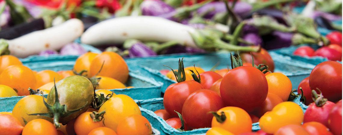 tomatoes and eggplants on a table